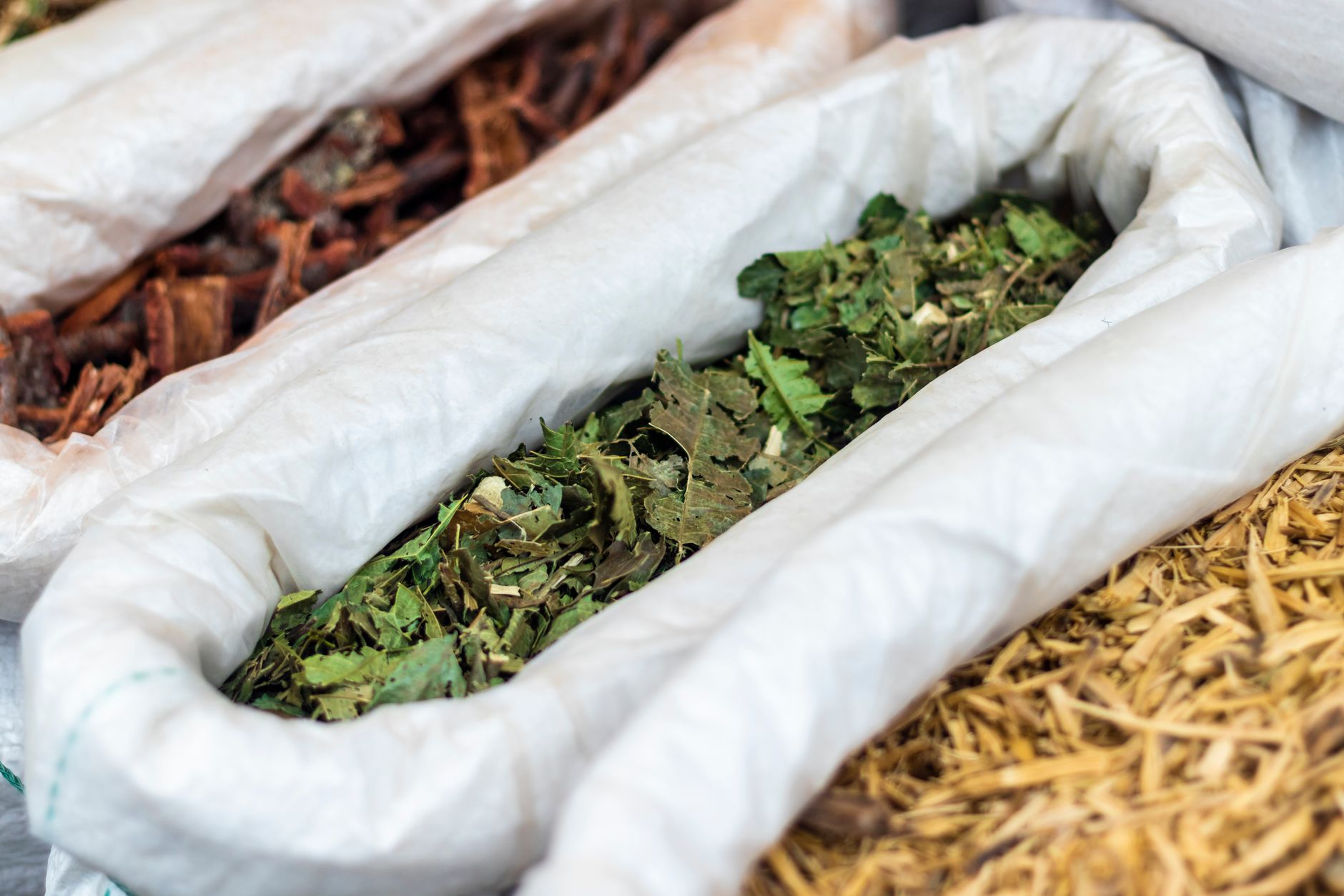 Ashwagandha: Wurzel oder Blatt — was zählt in der EU?