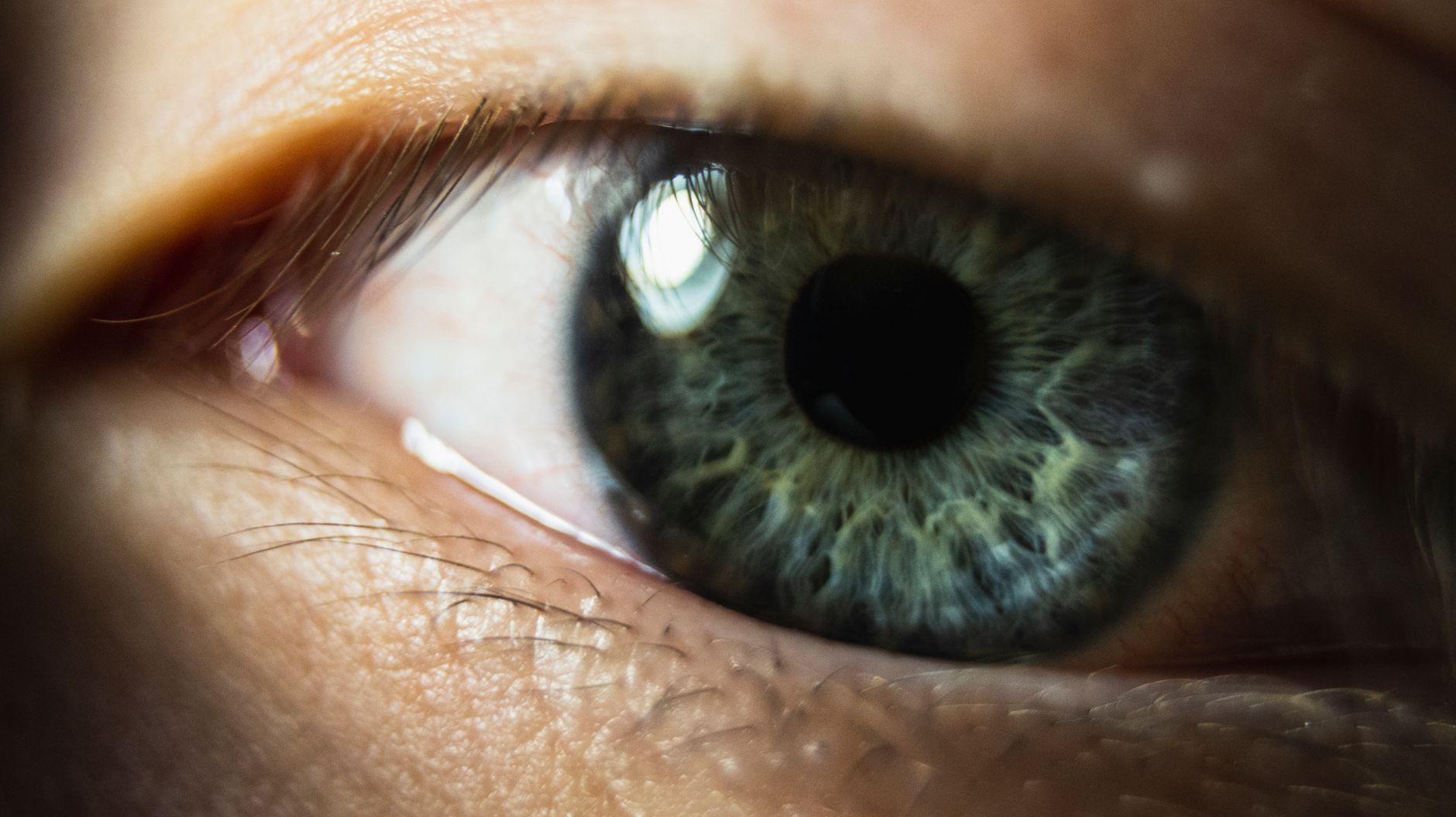 Makroaufnahme einer menschlichen Iris mit sichtbarer Fasertextur
