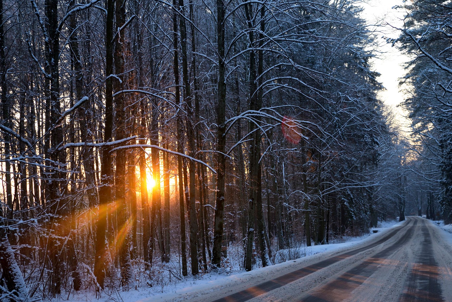 Tief stehende Wintersonne in einem verschneiten Wald