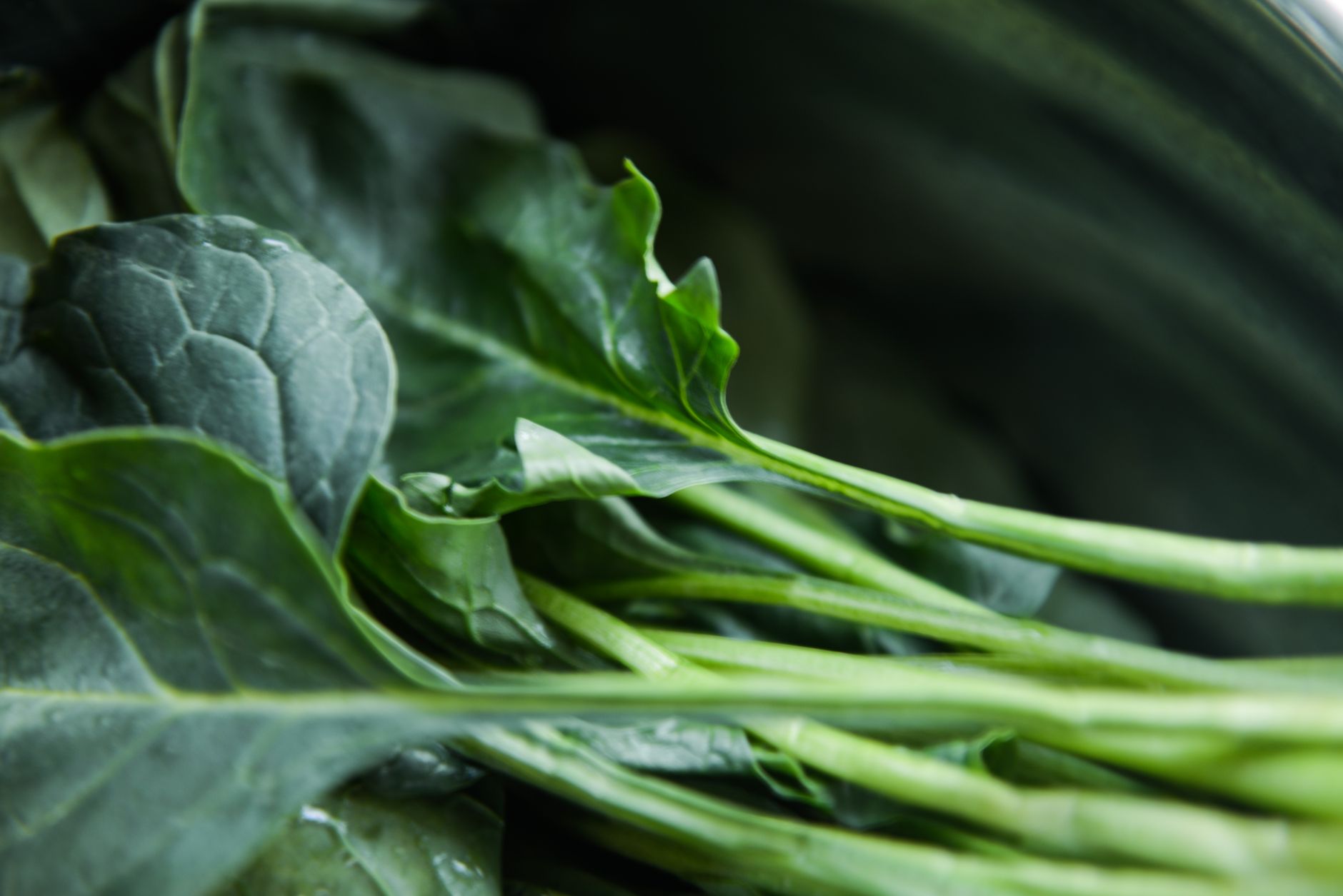 Calcium vegan: was vom Teller wirklich ankommt