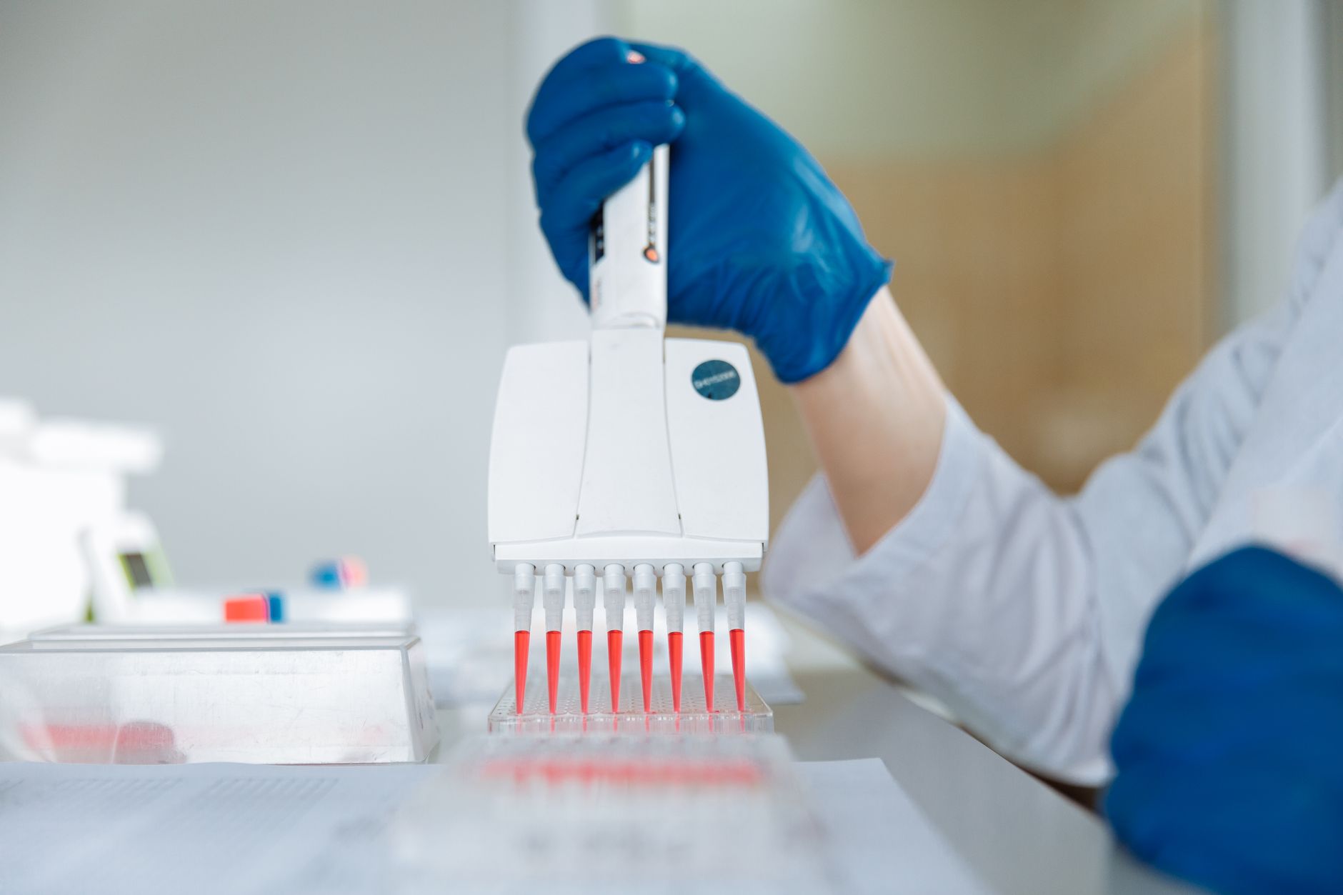 Folsäuremangel erkennen: Serumfolat, Erythrozytenfolat und was sie unterscheidet