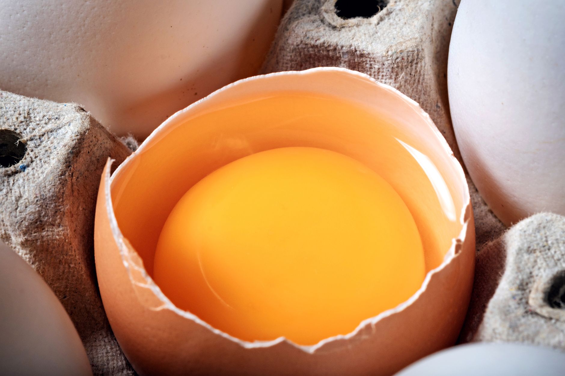 Ein aufgeschlagenes Ei mit dottergelbem Eigelb in der halben Schale, daneben ganze Eier im Karton