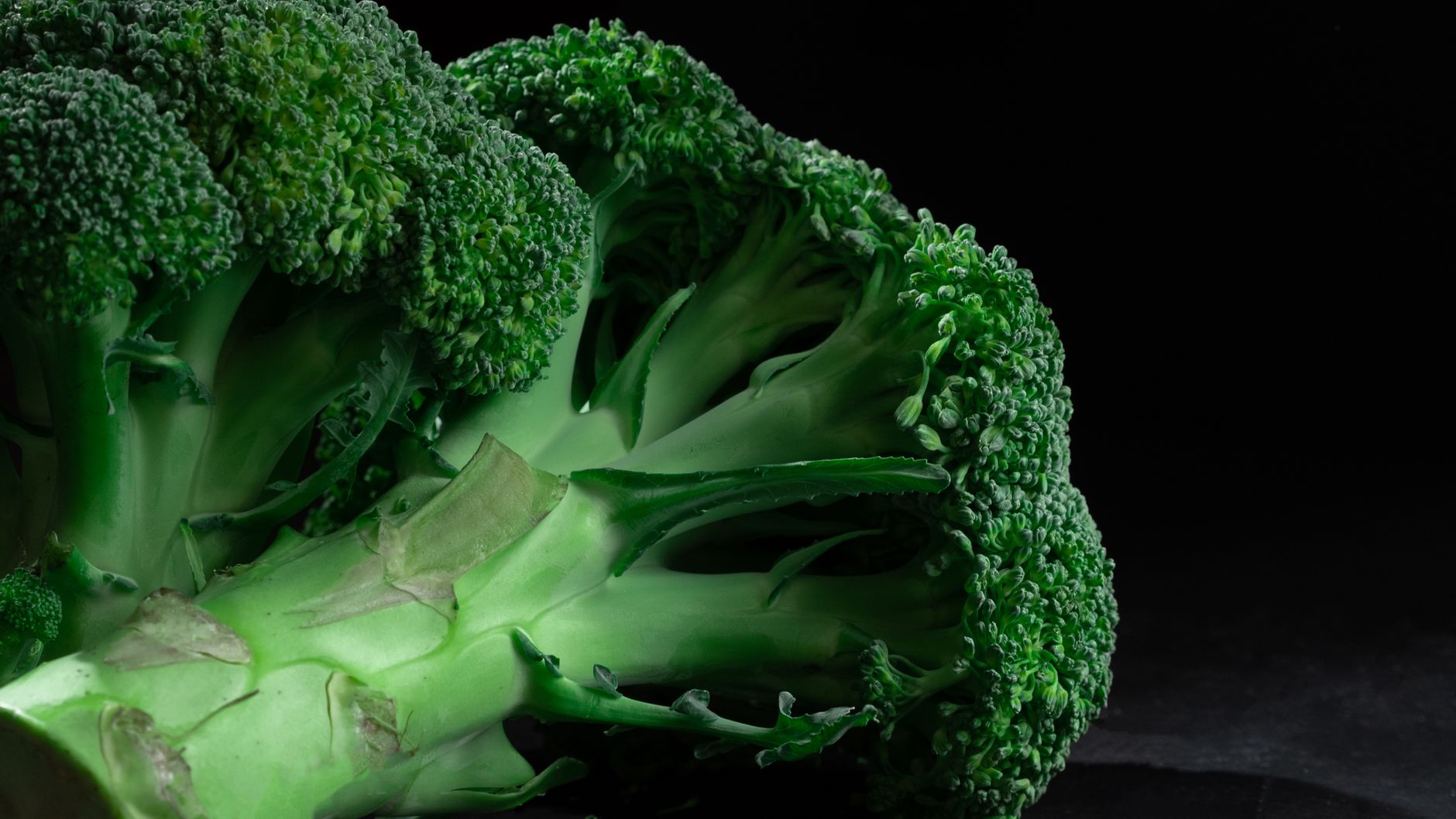 Broccolo fresco su fondo scuro – le crucifere sono tra gli alimenti ricchi di calcio fuori dai latticini