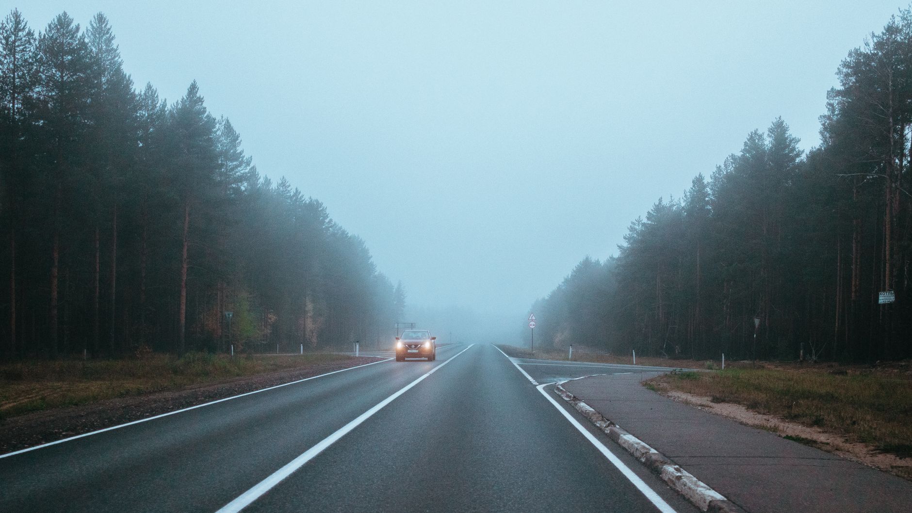 Auto mit Licht auf einer nebligen Landstraße im Morgengrauen