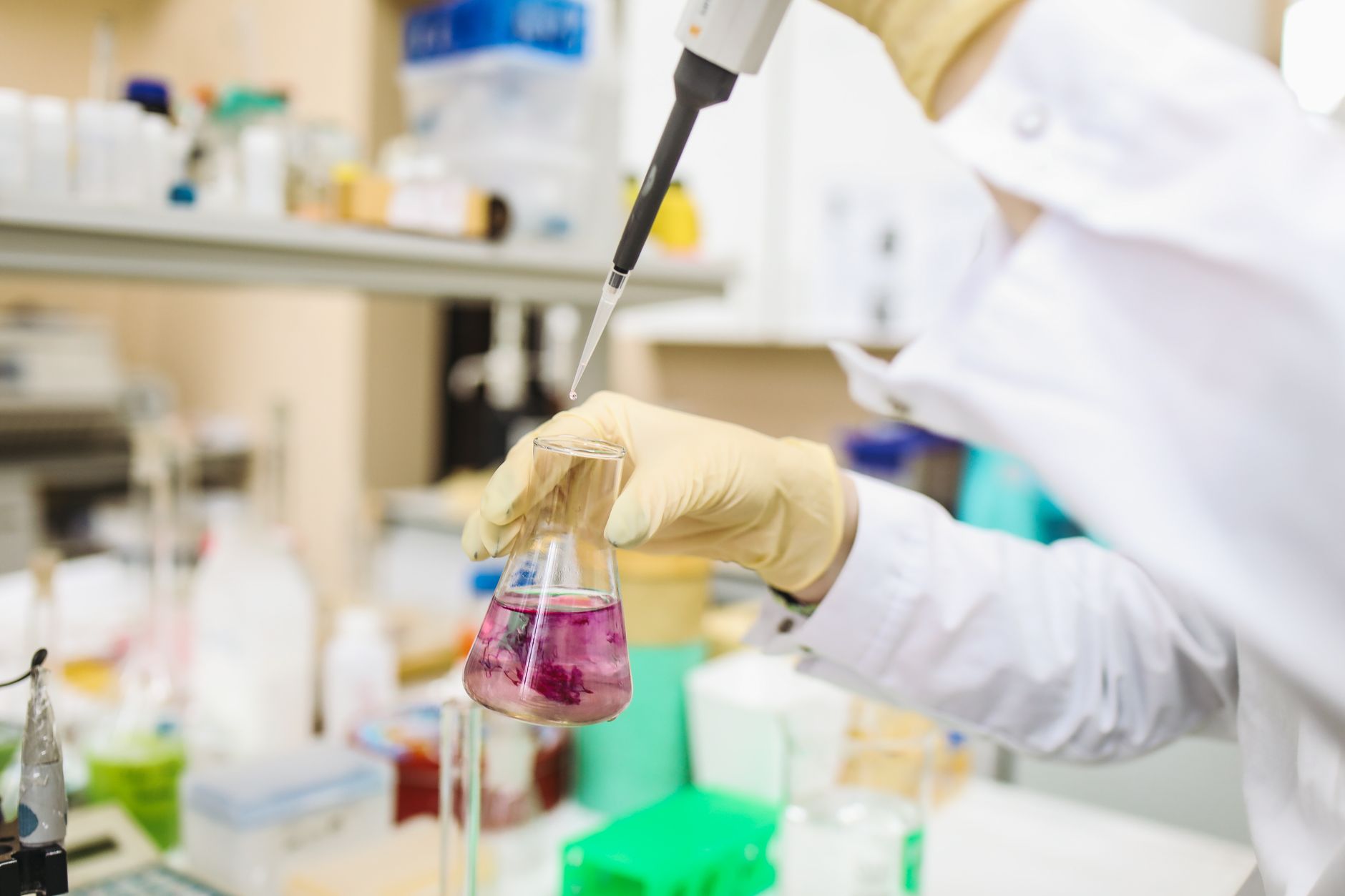 Person im Labor gibt mit einer Pipette Flüssigkeit in einen Erlenmeyerkolben