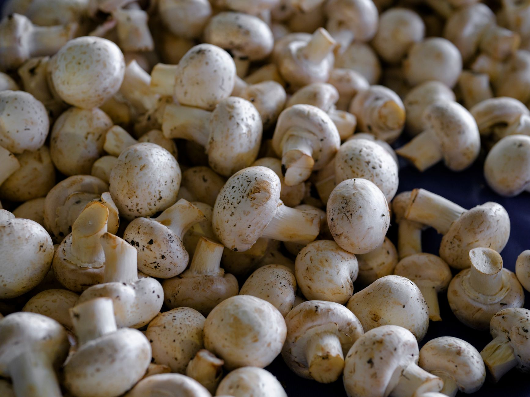 Fresh button mushrooms side by side at a market stall