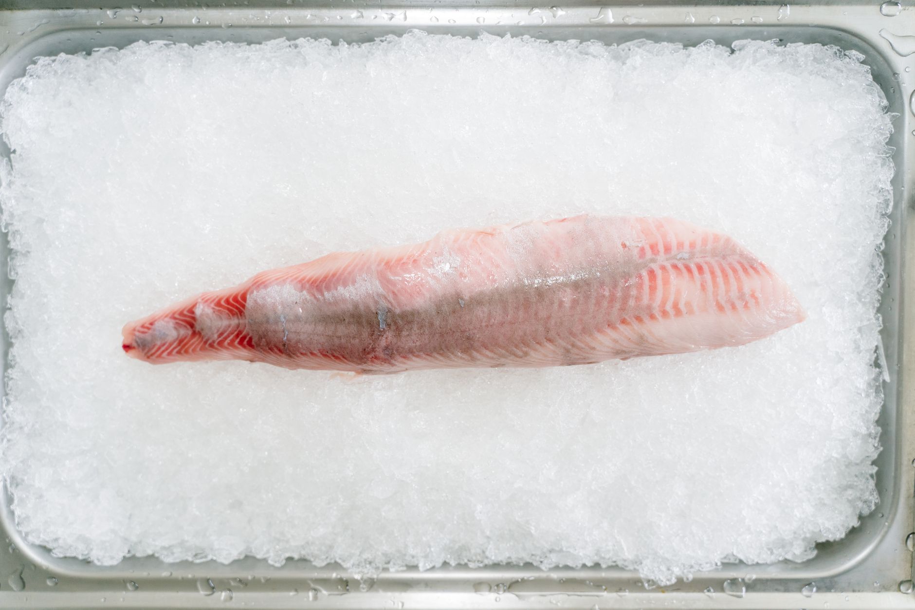 Filet de poisson de mer frais sur de la glace dans un bac en inox