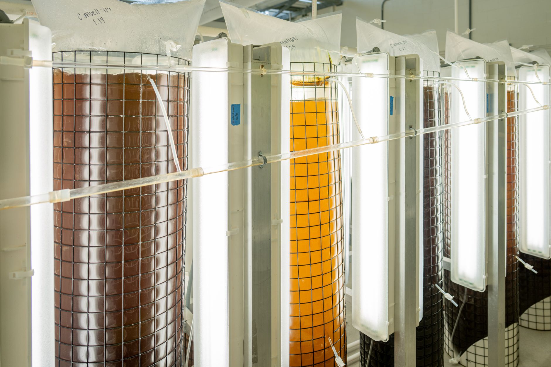 Industrielle Fermentationstanks in einer Anlage, angestrahlt von Arbeitslicht.