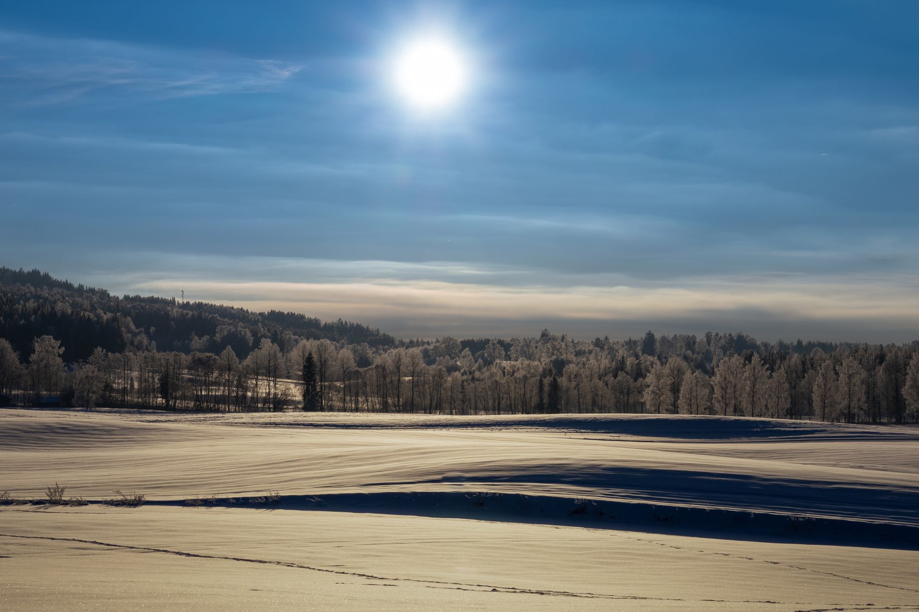 Vitamin D3 im Winter: warum die Jahreszeit zählt