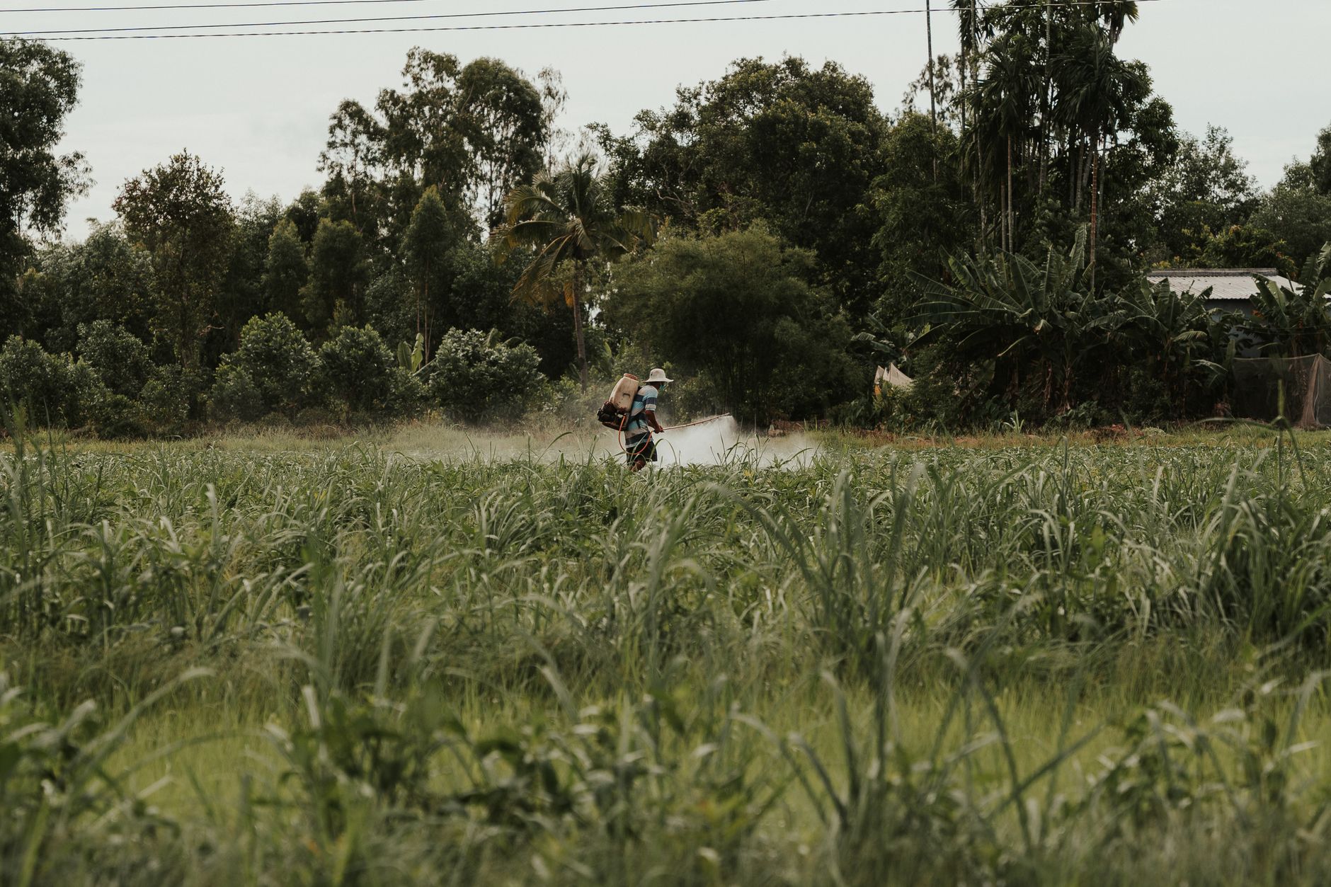 Ein Landwirt sprüht mit einer Rückenspritze ein Feld in einer ländlichen Gegend