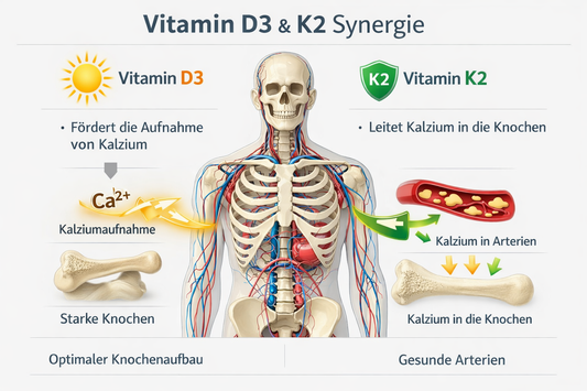 Synergie von Vitamin D3 und K2 MK7 All-Trans Grafik