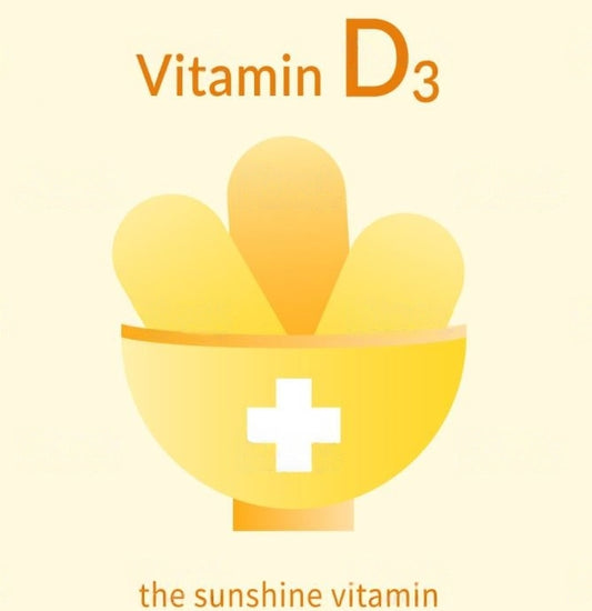 Vitamin D und das Immunsystem: Wie sie zusammenarbeiten