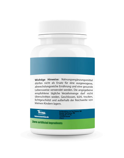 Hochdosiertes Ginkgo Biloba 6000 mg – 360 Tabletten vegan